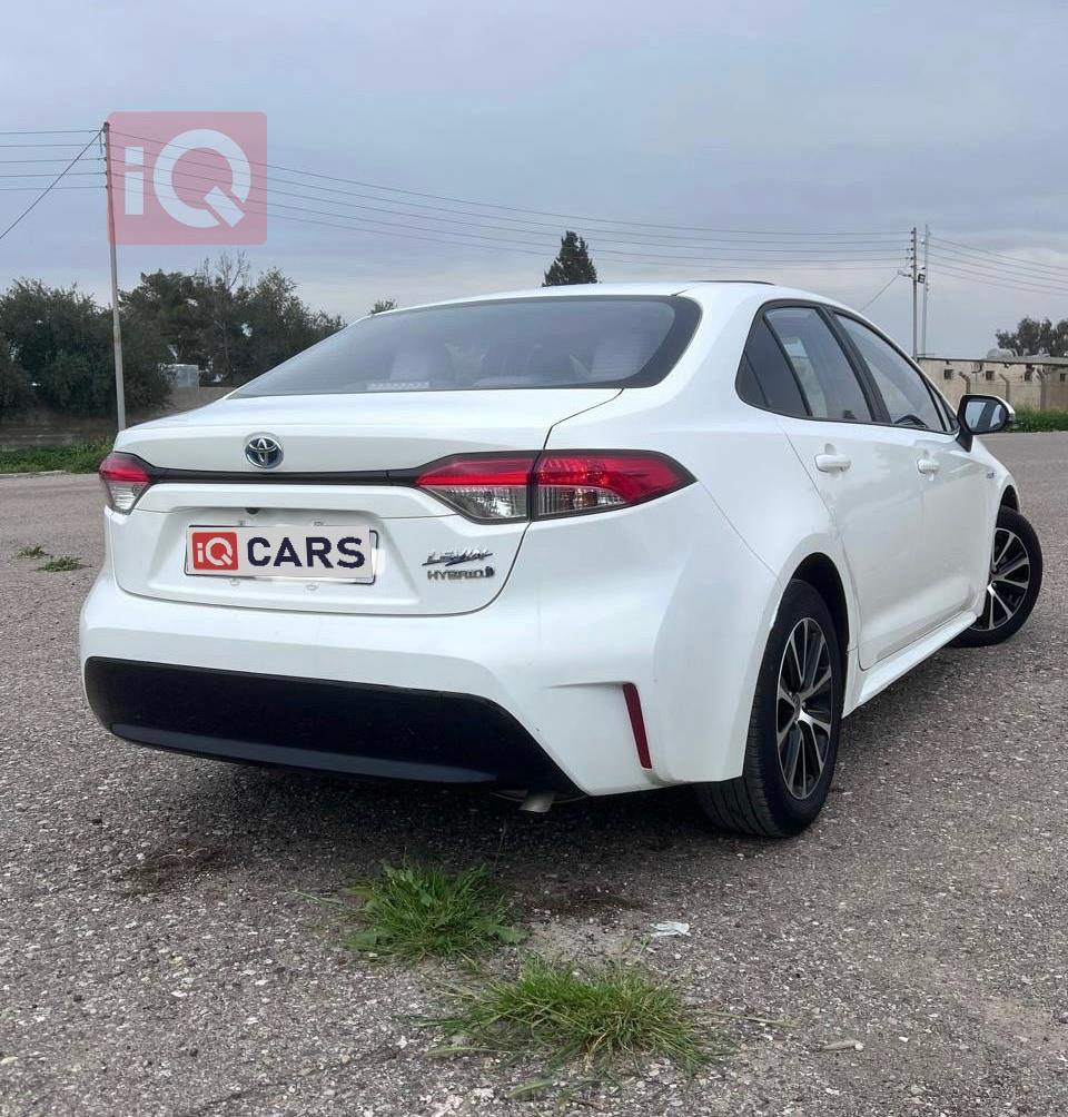 تويوتا كورولا